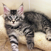 Butch Cassidy, 8 weeks