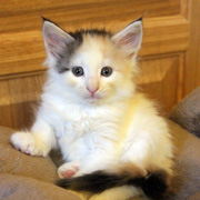 Beatriz, 5 weeks