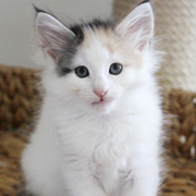 Beatriz, 7 weeks
