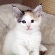 Beatriz, 7 weeks