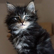 Cleopatre, 2 months