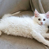 Demelza Robins, 11 weeks old