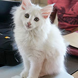 Demelza Robins, 11 weeks old