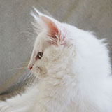 Demelza Robins, 11 weeks old