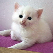Demelza Robins, 4 weeks old