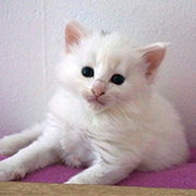 Demelza Robins, 4 weeks old