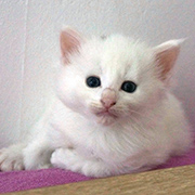 Demelza Robins, 4 weeks old