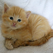 Drago Malefoy, 4 weeks old