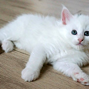 Demelza Robins, 6 weeks old