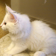 Demelza Robins, 8 weeks old