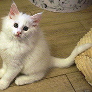 Demelza Robins, 8 weeks old