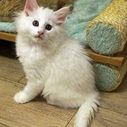 Demelza Robins, 8 weeks old