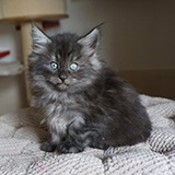 Enjoy, 7 weeks old