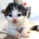Ezhno, 2 weeks old