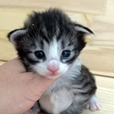 Fenwick, 2 semaines et 3 jours